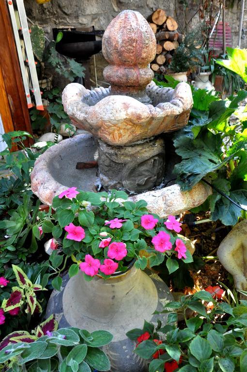 Apartamento Cozy Garden Jerusalén Exterior foto