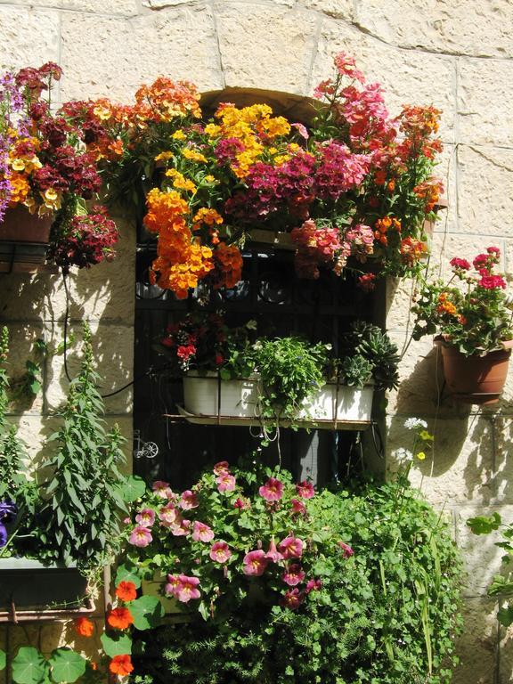 Apartamento Cozy Garden Jerusalén Exterior foto