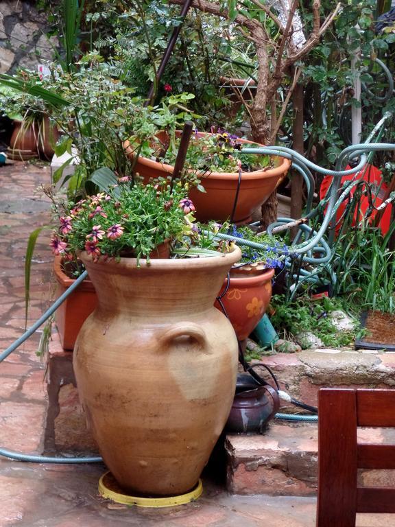Apartamento Cozy Garden Jerusalén Exterior foto