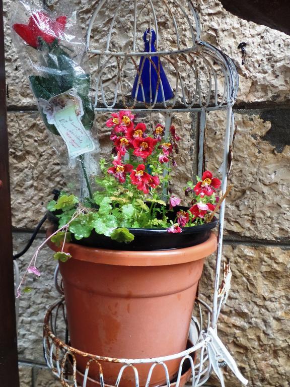 Apartamento Cozy Garden Jerusalén Exterior foto