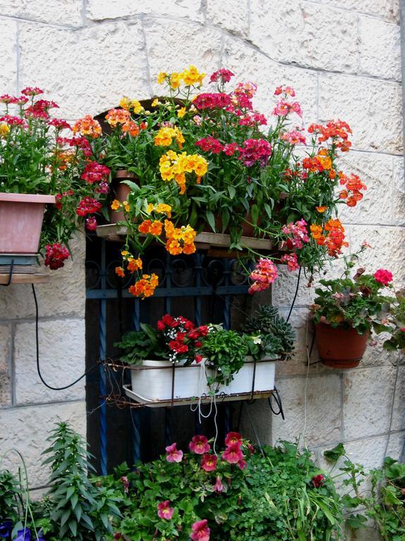 Apartamento Cozy Garden Jerusalén Exterior foto