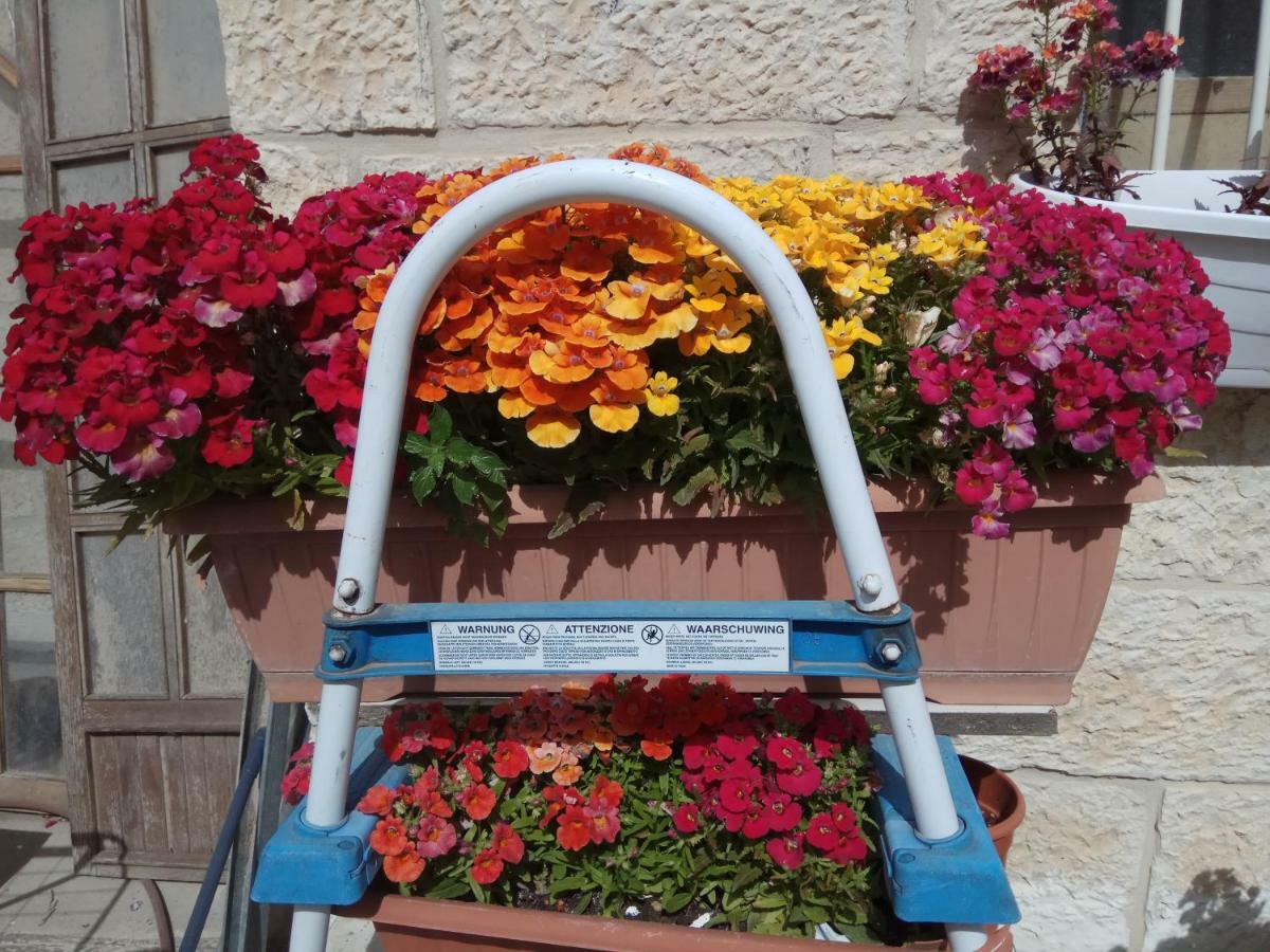 Apartamento Cozy Garden Jerusalén Exterior foto